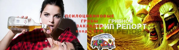 ПСИЛОЦИБИНОВЫЕ ГРИБЫ Пролетарск