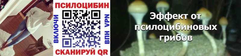 Псилоцибиновые грибы Cubensis  Карабаш 